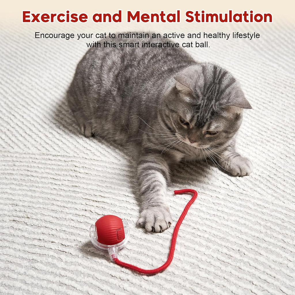Interactive Dog & Cat Electric Active Toys, Smart Rolling Ball for Dogs & Cats, 360° Smart Automatic Rolling Pet Ball, Fast Moving Toy for Bored Indoor Kitty, Rechargeable(Red)